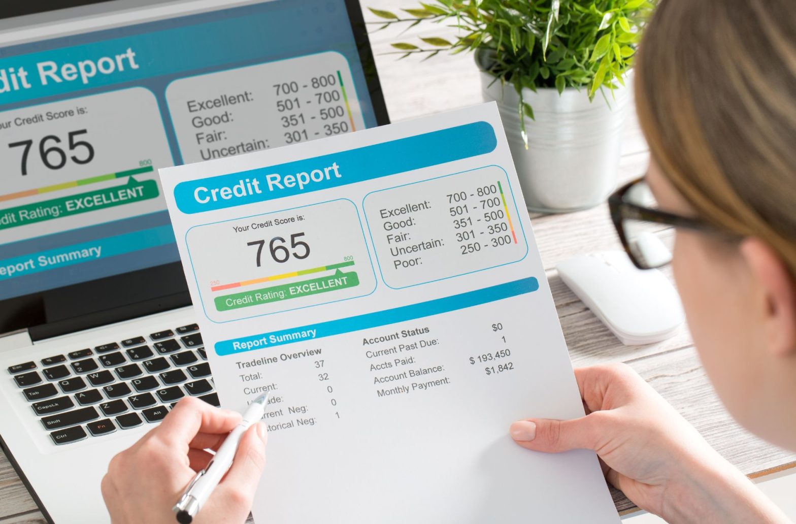 credit report