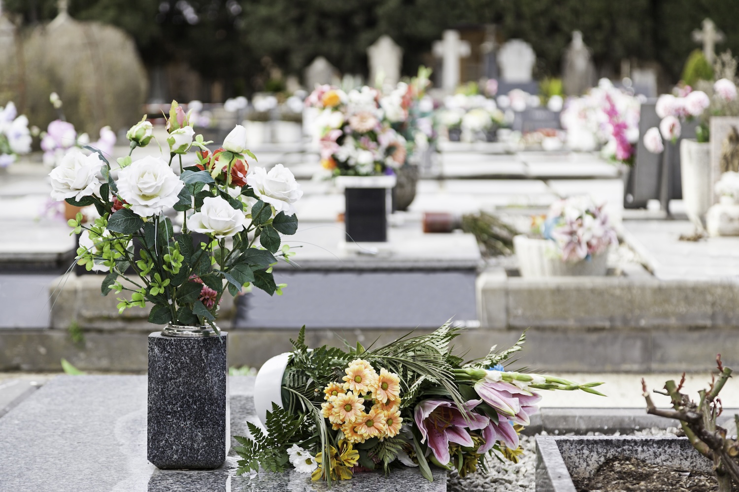 flowers in a cemetery